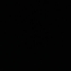 Meet your Posher, Lilly